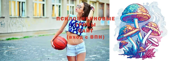 мдпв Арсеньев