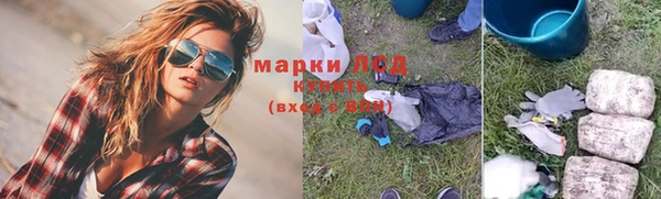 spice Пересвет